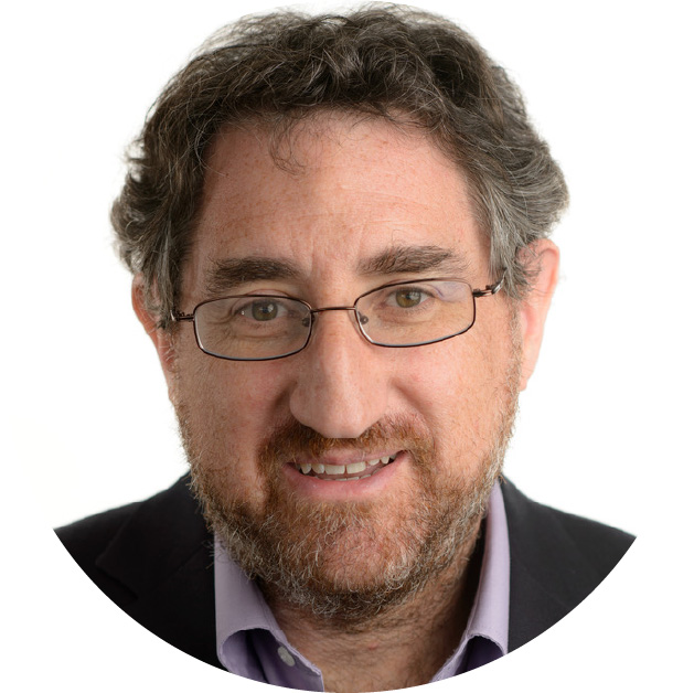 Professor David Levinson